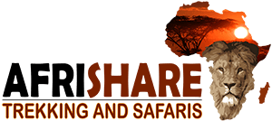 Afrishare Logo