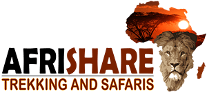 afrishare logo