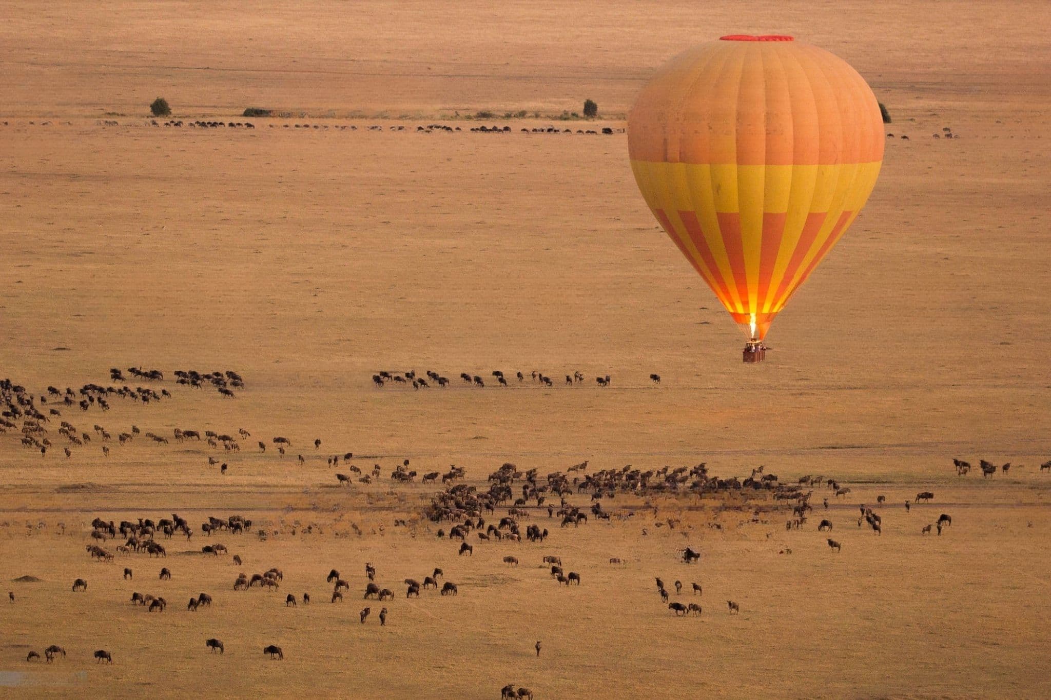 Serengeti Overview