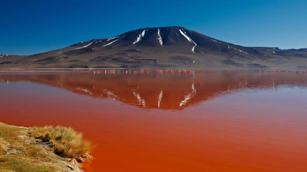 lake natron