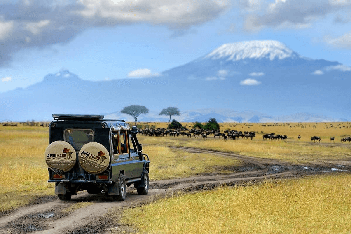 Mountain Kilimanjaro