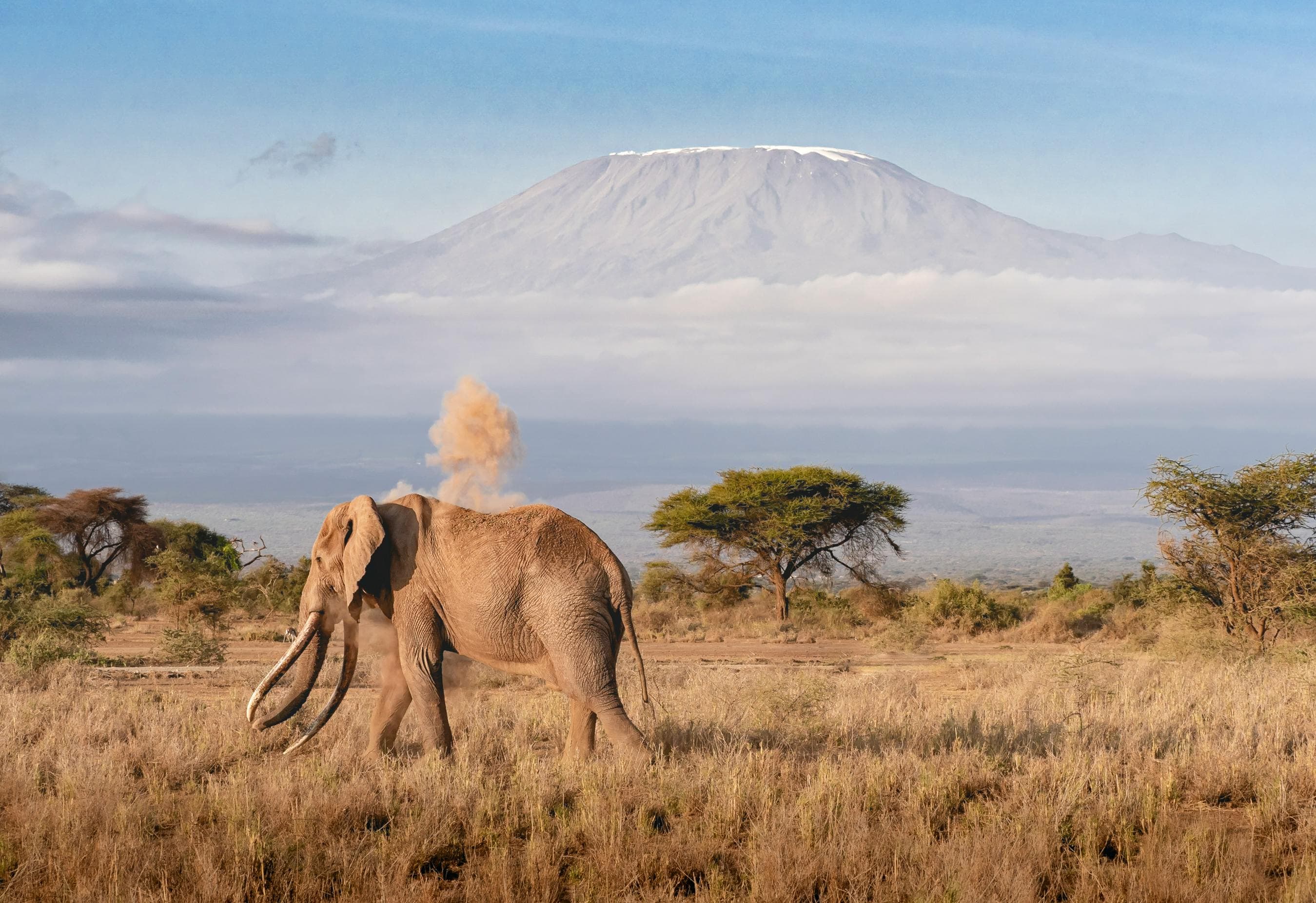 mt Kilimanjaro