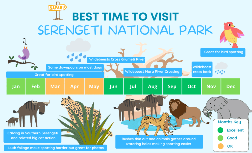 Best time to visit serengeti