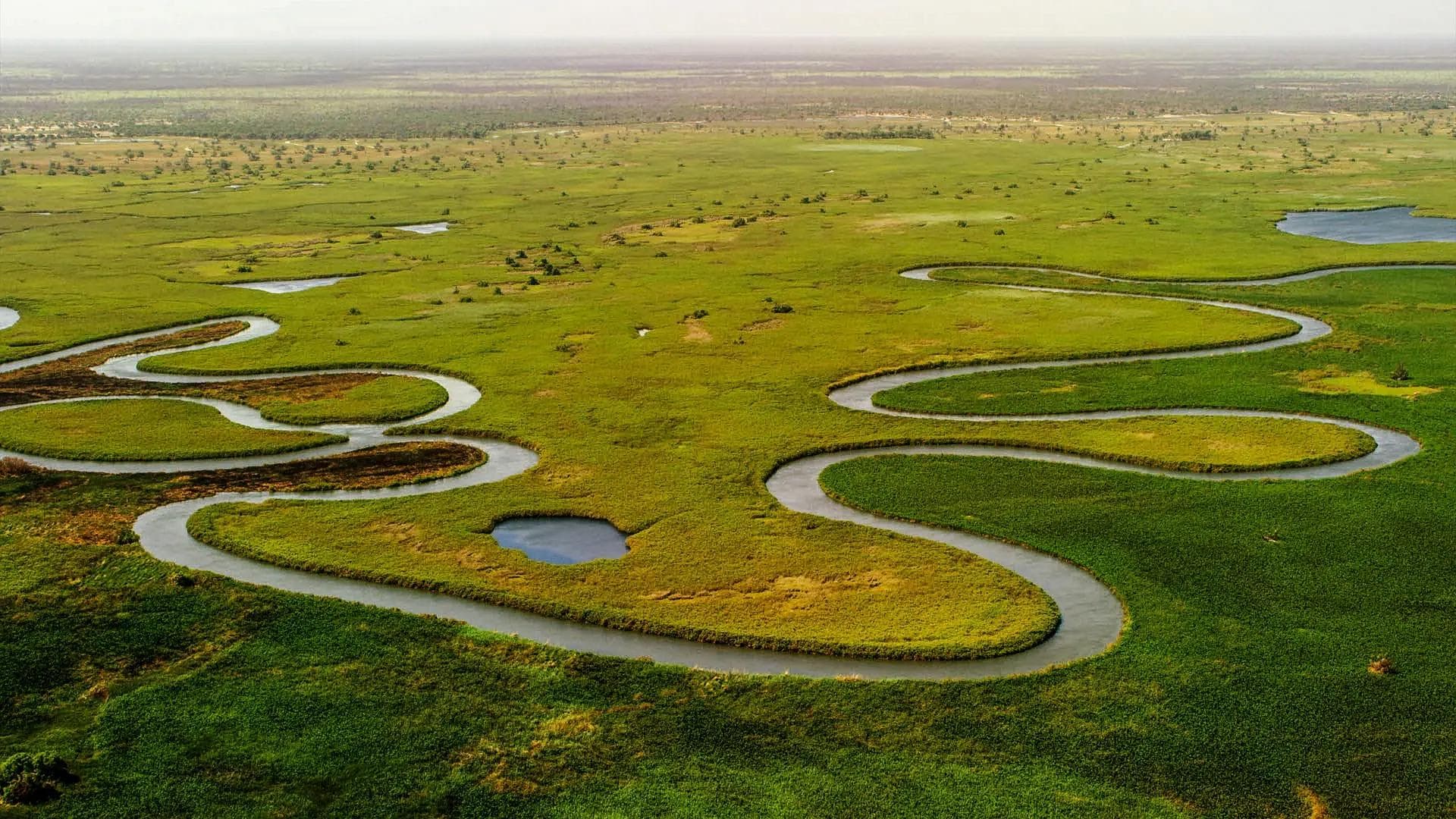 River Delta in Botswana