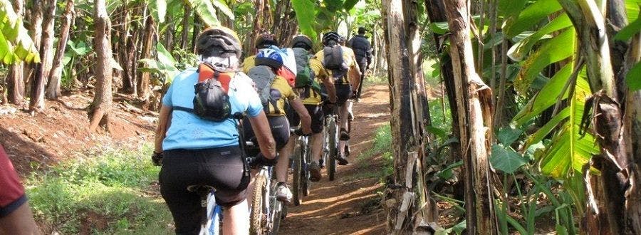 Bike in jungle towards mountain kilimanjaro