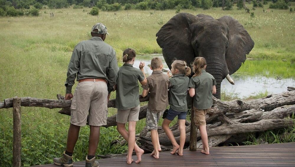 Family safari